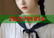 冲哥cg1.vt黑料揭秘平台快速查找与深度解析