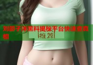刘邵子洋黑料揭秘平台快速查真相