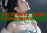 以莉犬黑料揭秘平台，实时曝光明星动态吸引粉丝关注