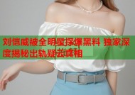 刘恺威被全明星探爆黑料 独家深度揭秘出轨疑云真相