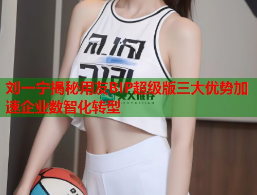 刘一宁揭秘用友BIP超级版三大优势加速企业数智化转型  第1张